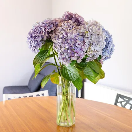 La Cle Des Champs Ferienhaus